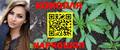 прущие крисы Донской