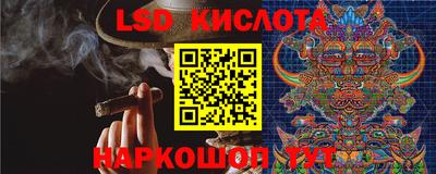 винт Дубна