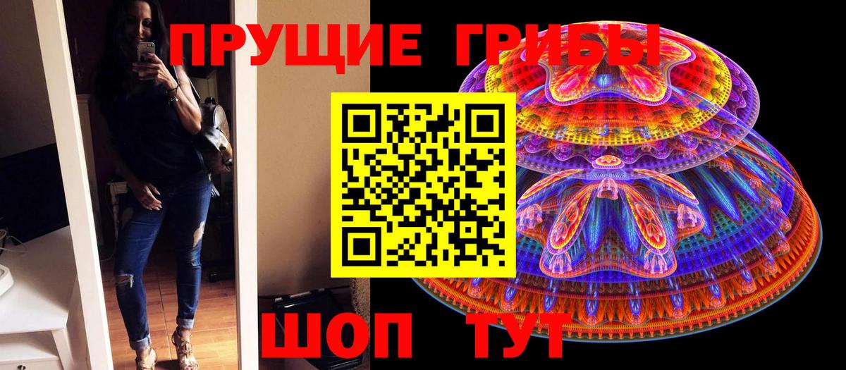 Галлюциногенные грибы Psilocybine cubensis Москва