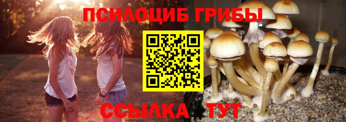 Галлюциногенные грибы Magic Shrooms  Галлюциногенные грибы мухоморы  Вход с VPN  Москва 
